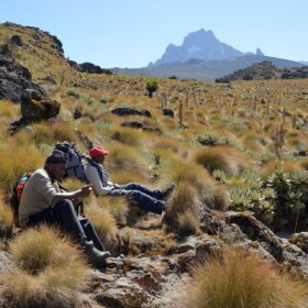 Northern Kenya Circuit Safari (6–8 Days)