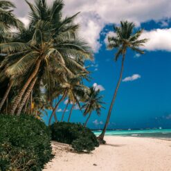 4 Days Mombasa Beach Holiday – Kenya (North Coast: Nyali, Bamburi & Shanzu)