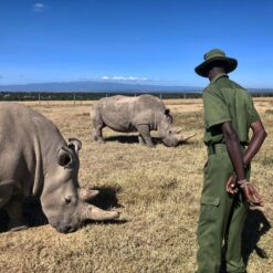 Alternative view of 4 Days Aberdares, Mount Kenya & Ol Pejeta Safari