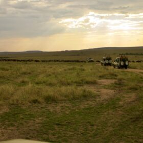3 Days Masai Mara Safari – Kenya