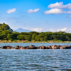 3 Days Lake Naivasha + Lake Nakuru Safari