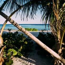 3 Days Mombasa North Coast Beach Holiday – Kenya (Nyali, Bamburi & Shanzu)