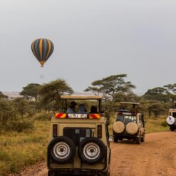 5 Days Tanzania Safari – Serengeti, Ngorongoro & Tarangire