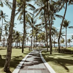 ️ 5 Days Diani Beach Holiday – Kenya