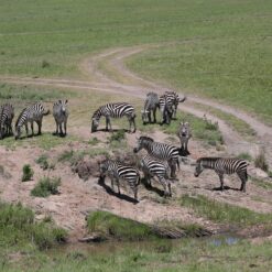 Alternative view of 4 Days Maasai Mara Safari Package